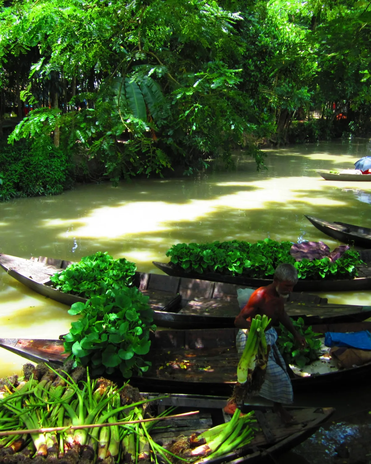 Floating market in Barishal