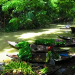 Floating market in Barishal
