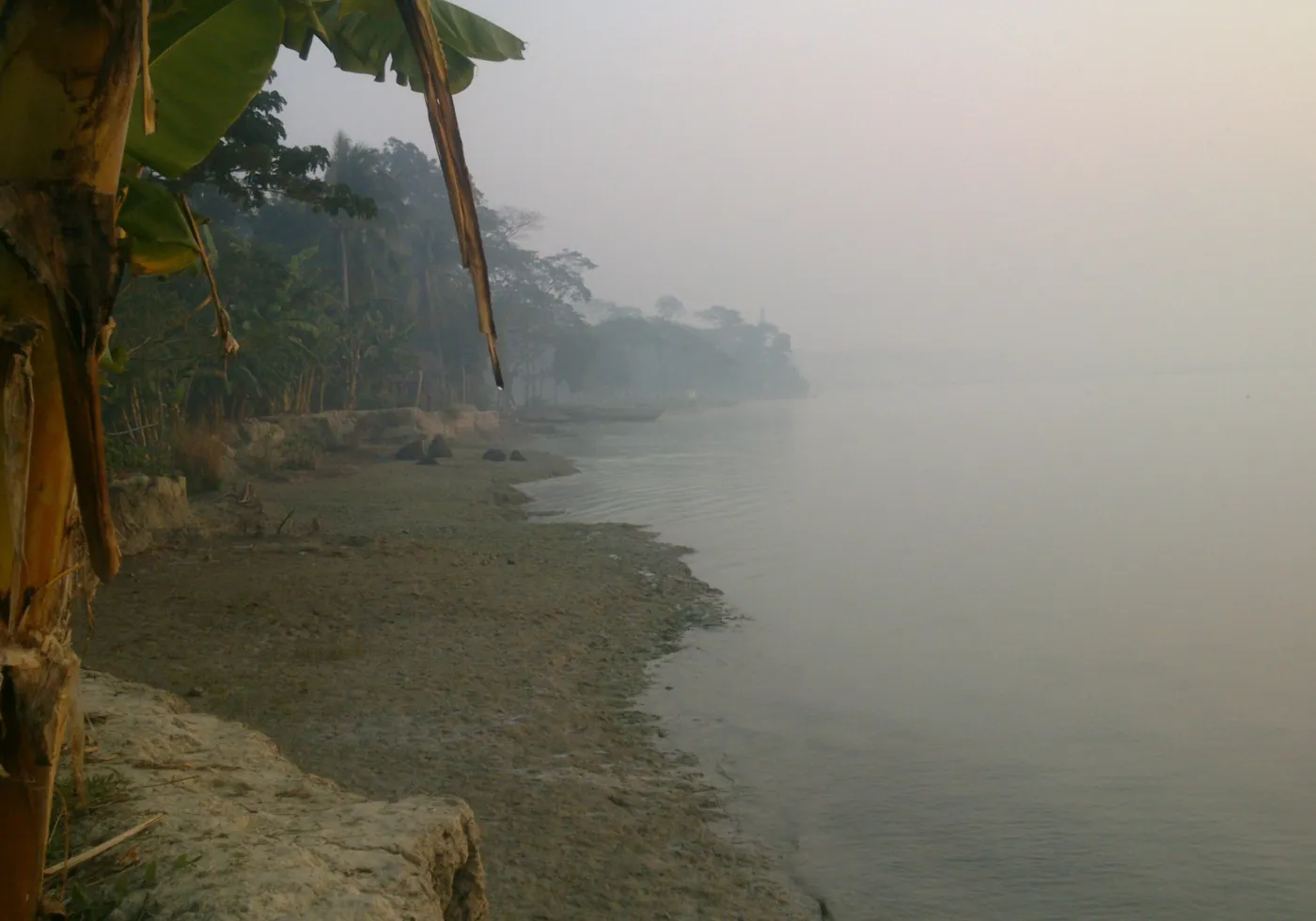 River fog on a winter morning