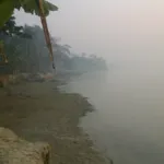 River fog in the morning