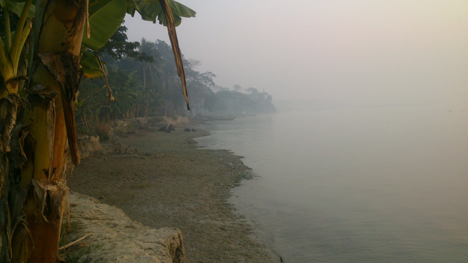 River fog on a winter morning