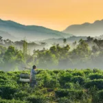 River and hills at Jaflong