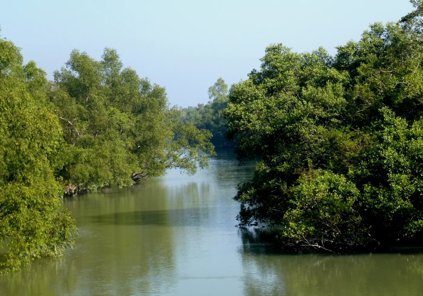 Katka, Sundarbans