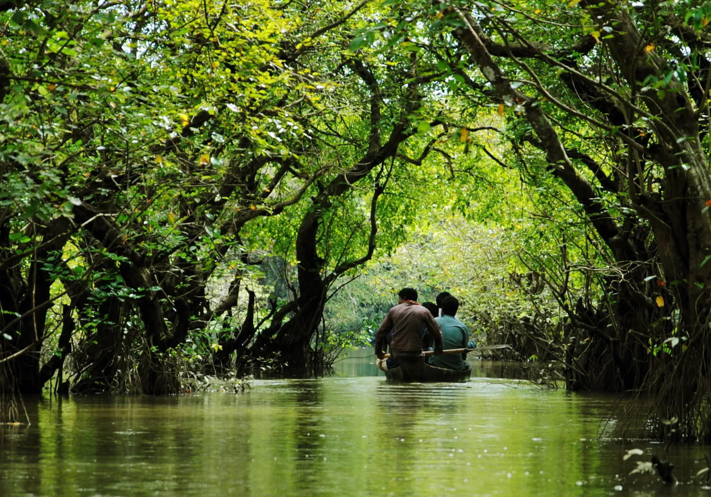 Ratargul swamp forest
