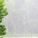 Rain in the monsoon
